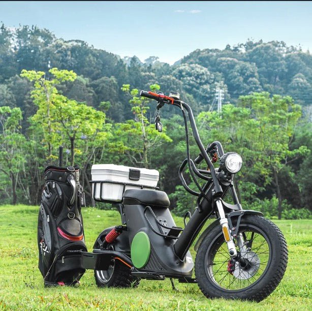 Eahora Electric Golf Scooters - eBike Haul