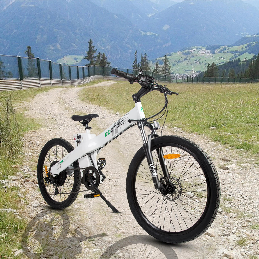 ECOTRIC - eBike Haul