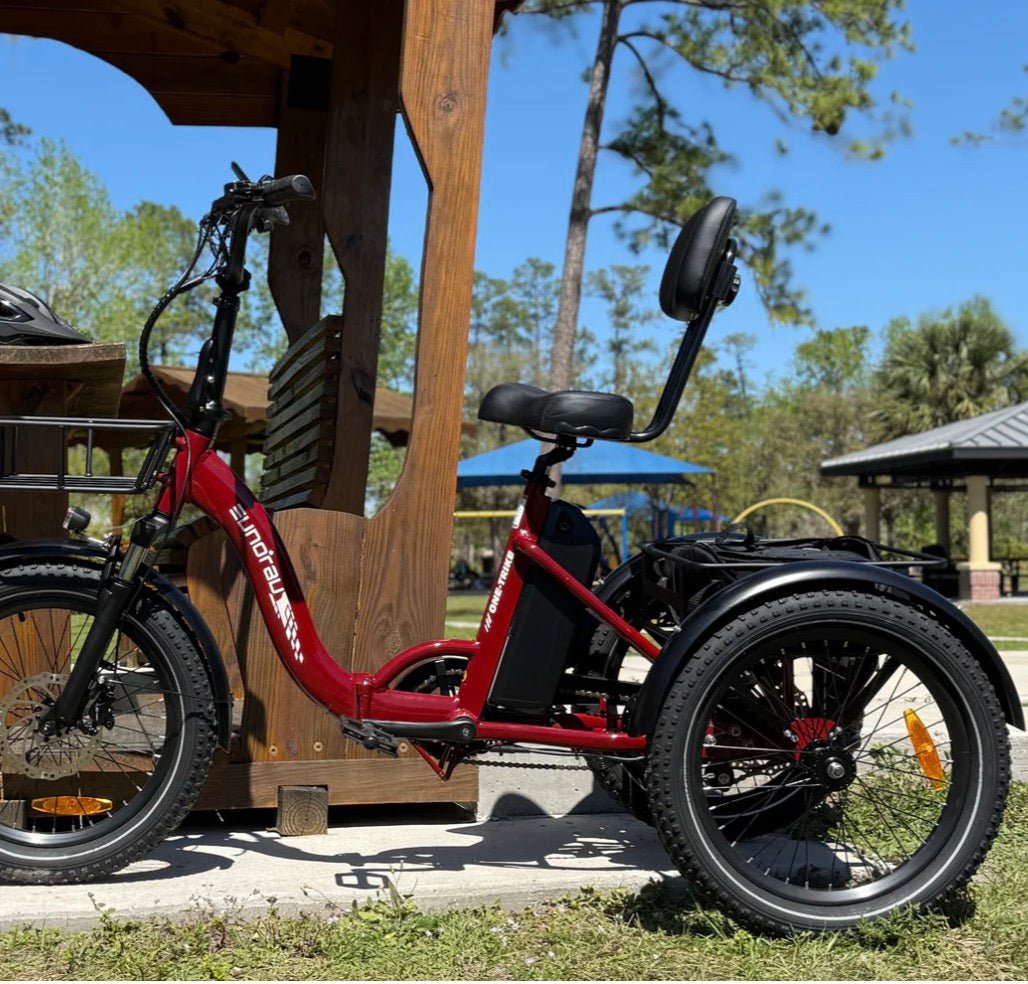 EUNORAU Electric Trikes - eBike Haul