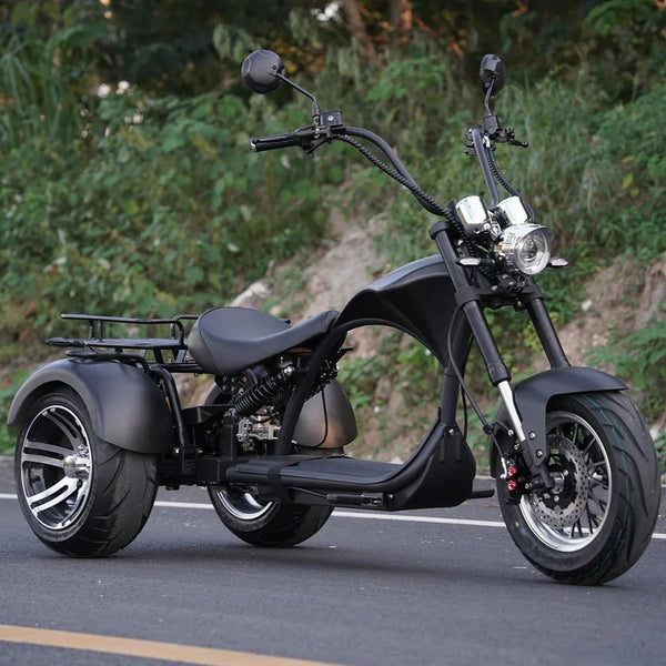 Fat Tire Electric Trikes - eBike Haul