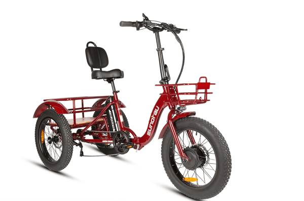 Step Thru Electric Trikes - eBike Haul