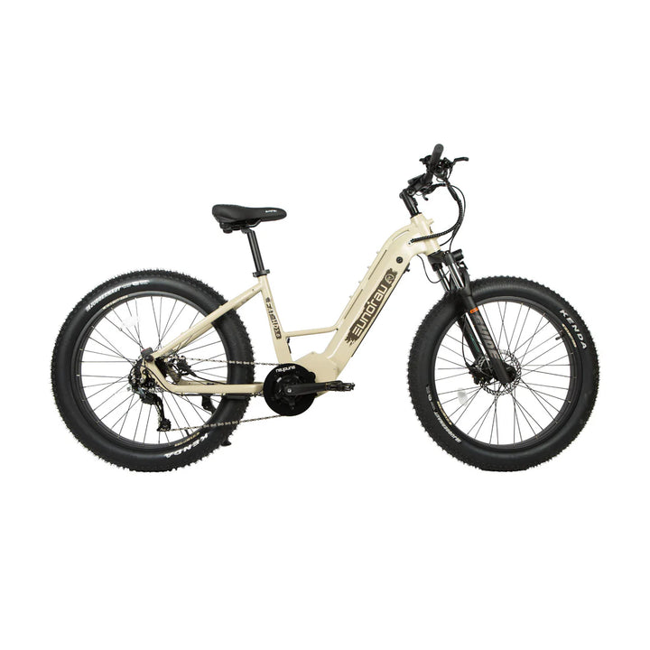 Eunorau| FAT-HD 2.0 Fat Tire 1000W Bafang Mid-Drive Hunting EBike
