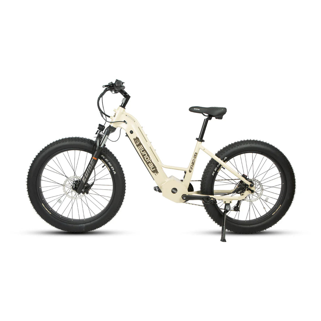 Eunorau| FAT-HD 2.0 Fat Tire 1000W Bafang Mid-Drive Hunting EBike