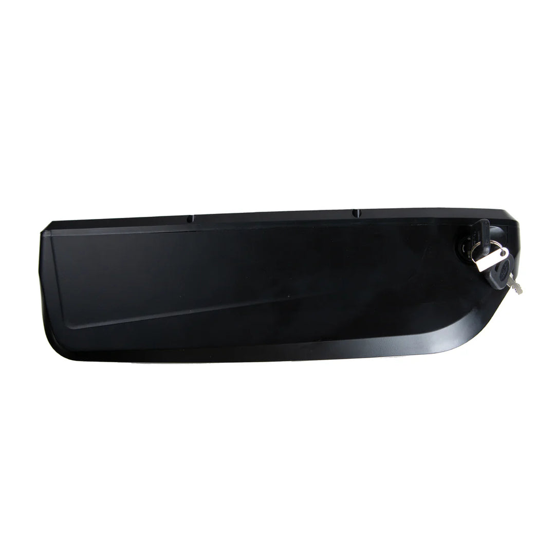 eunorau|Electric 48V15AH/20AH HAILONG PLUS Downtube Battery|NEW-TRIKE / ONE-TRIKE Series