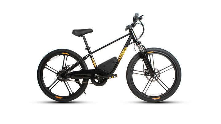 EUNORAU EKIDS24 1.0 Kids EBike