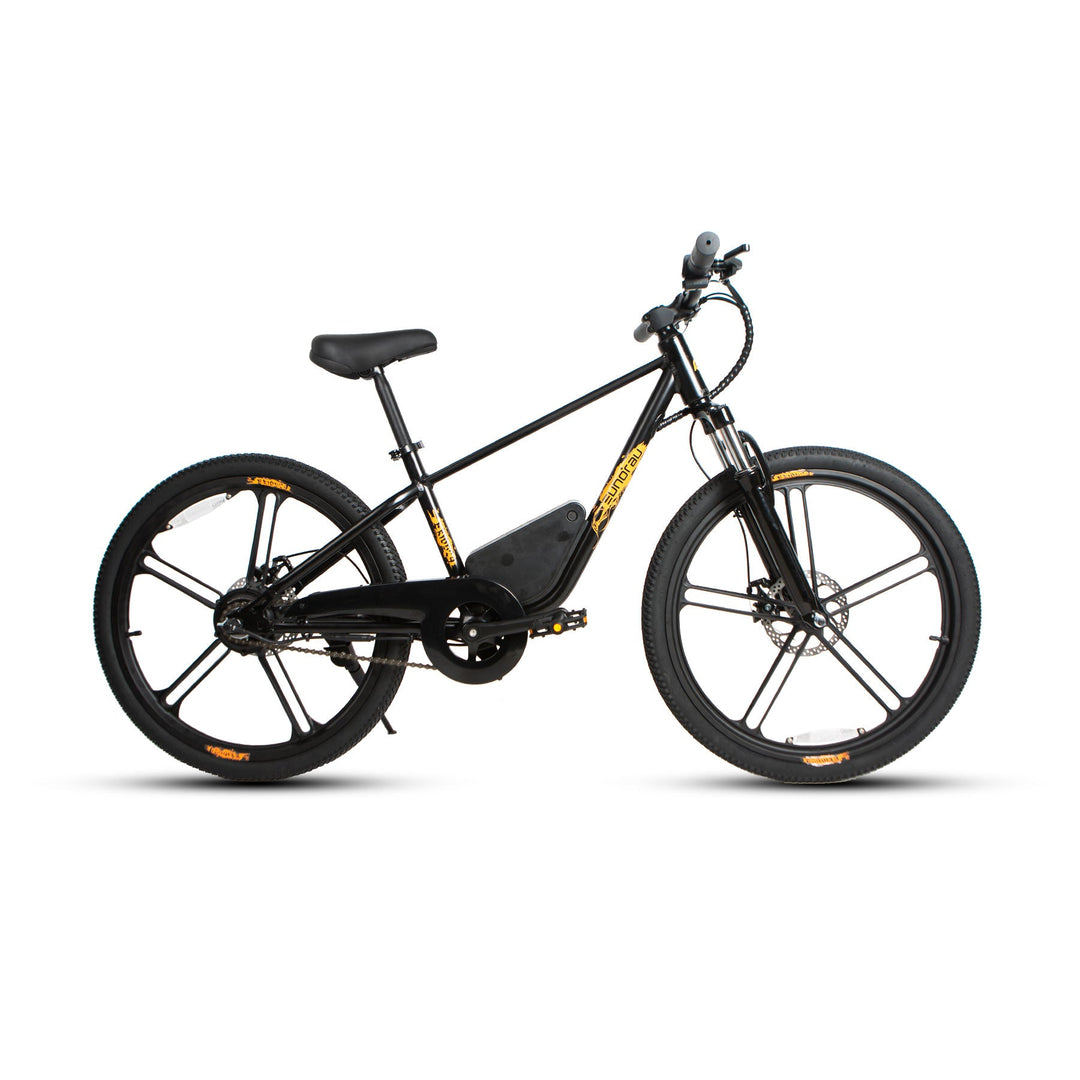 EUNORAU EKIDS24 1.0 Kids EBike