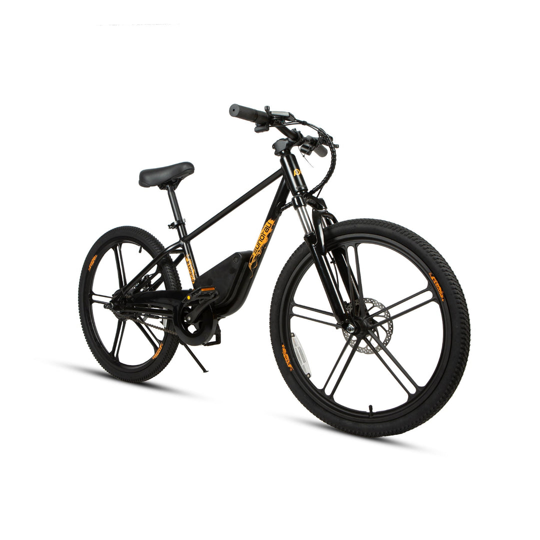 EUNORAU EKIDS24 1.0 Kids EBike