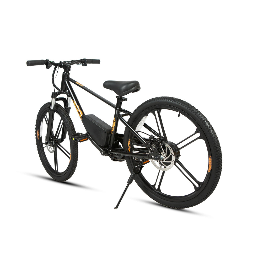 EUNORAU EKIDS24 1.0 Kids EBike