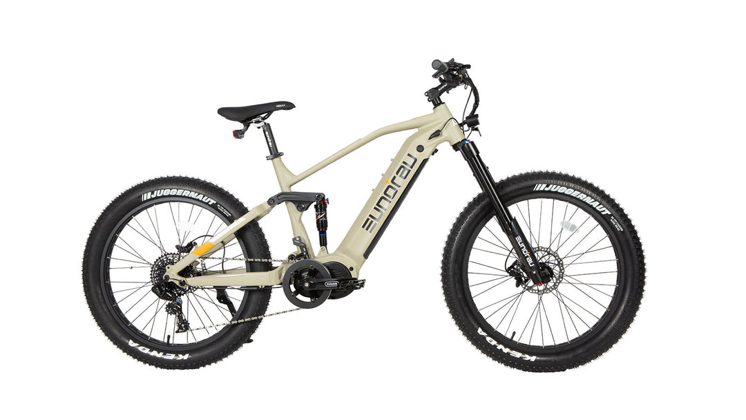 EUNORAU SPECTER-S 3.0 Hunter X9 Hunting Fat Tire E-Bike