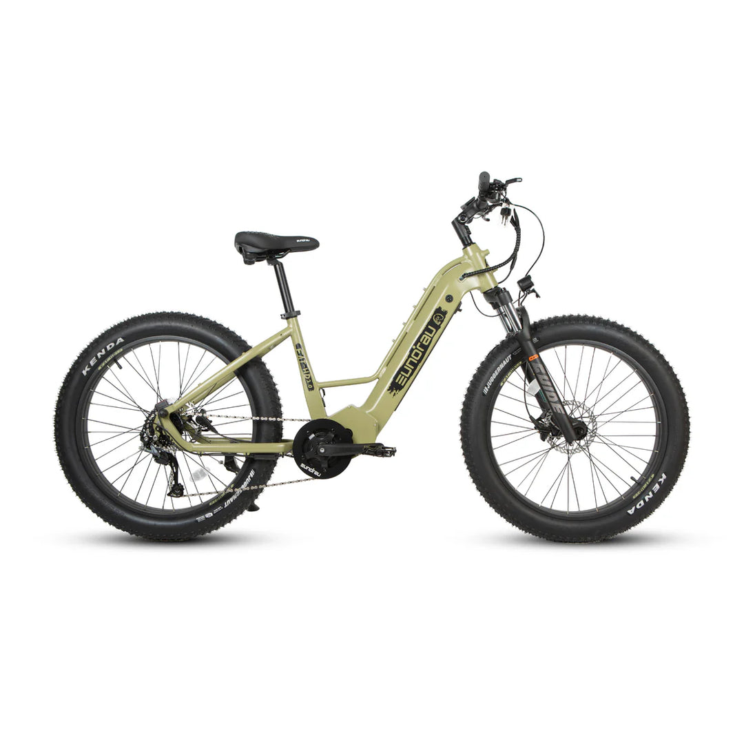 Eunorau| FAT-HD 2.0 Fat Tire 1000W Bafang Mid-Drive Hunting EBike