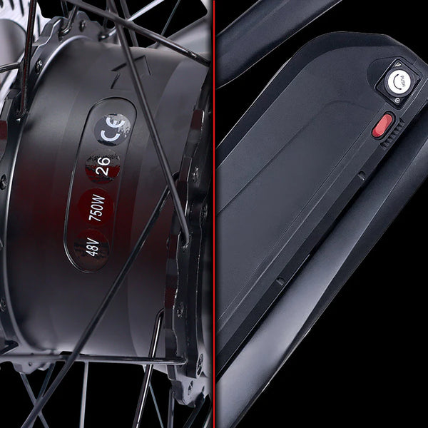 Hub Motor & Battery 