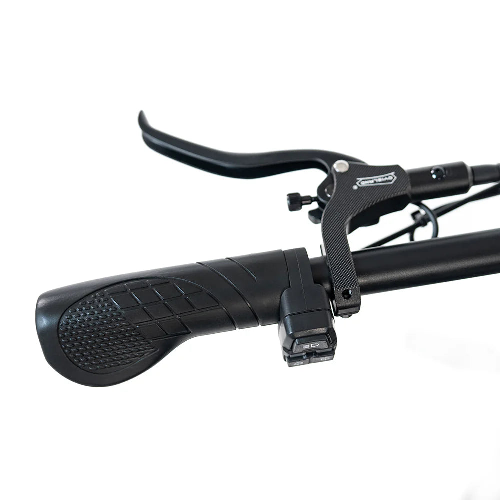 HappyRun G70 Full Suspension, Fat Tire,Two-Seater Fast E-Cargo Bike