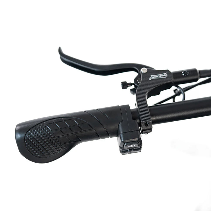 HappyRun G70 Full Suspension, Fat Tire,Two-Seater Fast E-Cargo Bike