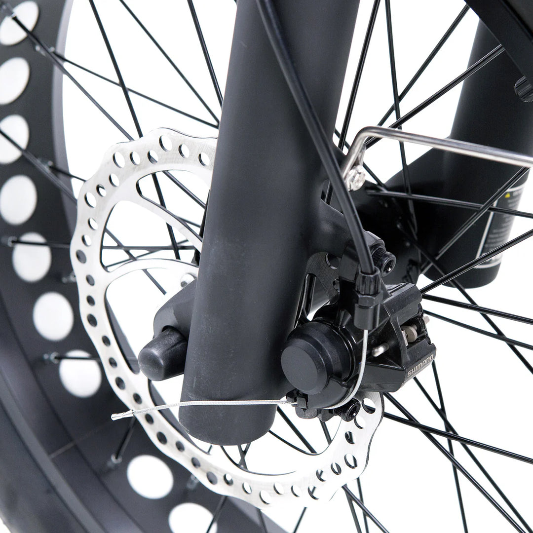 Nakto F2 500W/750W Peak, Dual Suspension, 20" Tires Fat Tire E-Bike