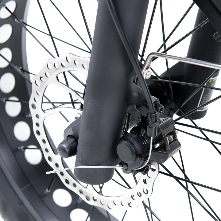 Nakto F2 500W/750W Peak, Dual Suspension, 20" Tires Fat Tire E-Bike