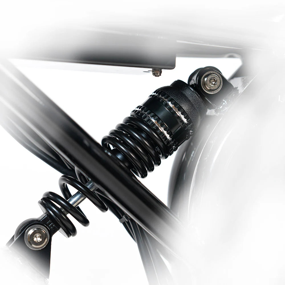 HappyRun G70 Full Suspension, Fat Tire,Two-Seater Fast E-Cargo Bike