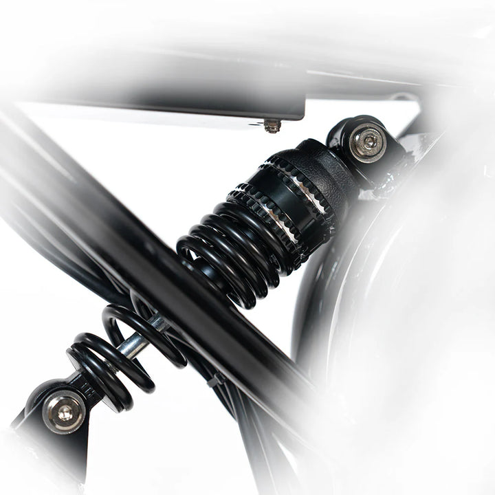 HappyRun G70 Full Suspension, Fat Tire,Two-Seater Fast E-Cargo Bike