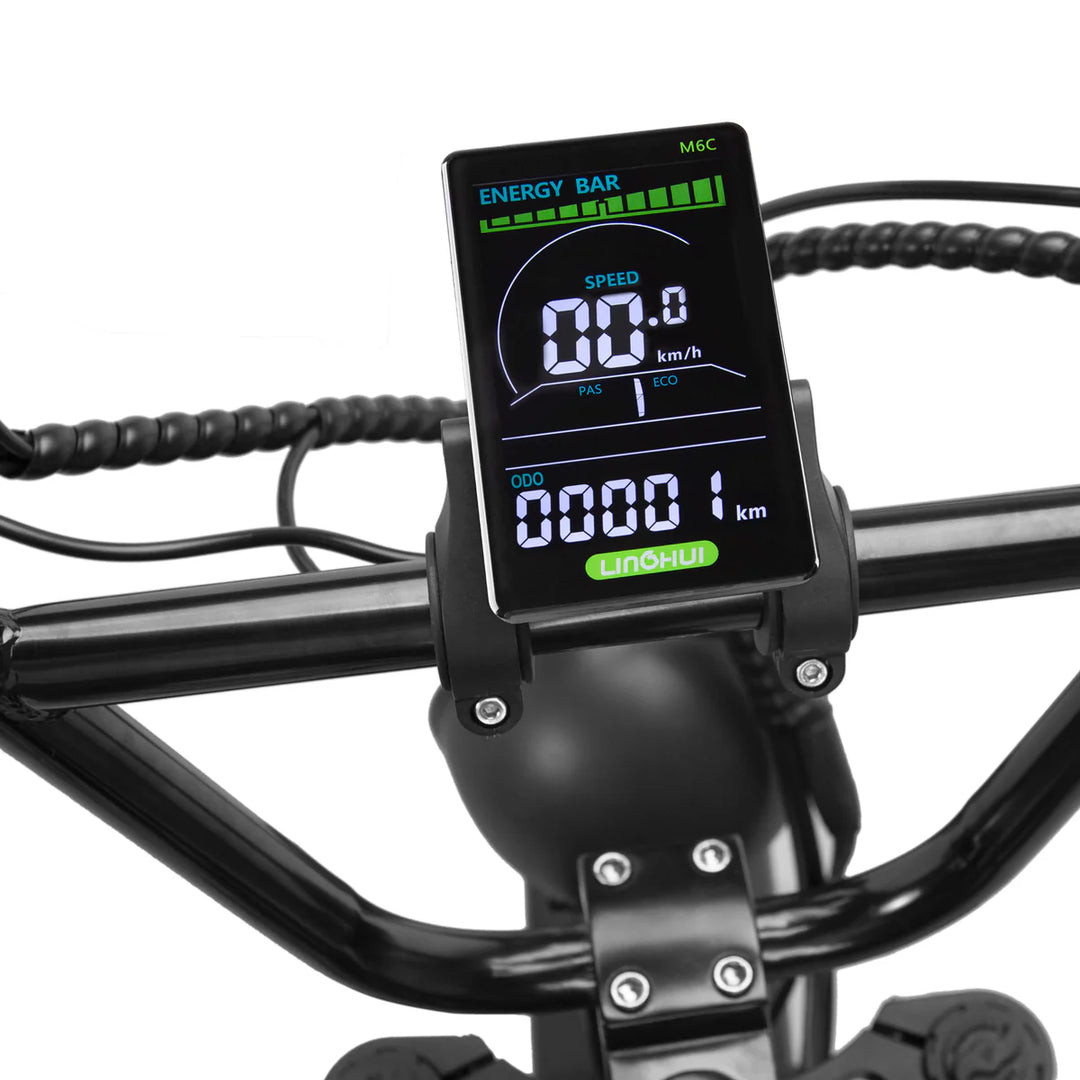 Nakto F2 500W/750W Peak, Dual Suspension, 20" Tires Fat Tire E-Bike