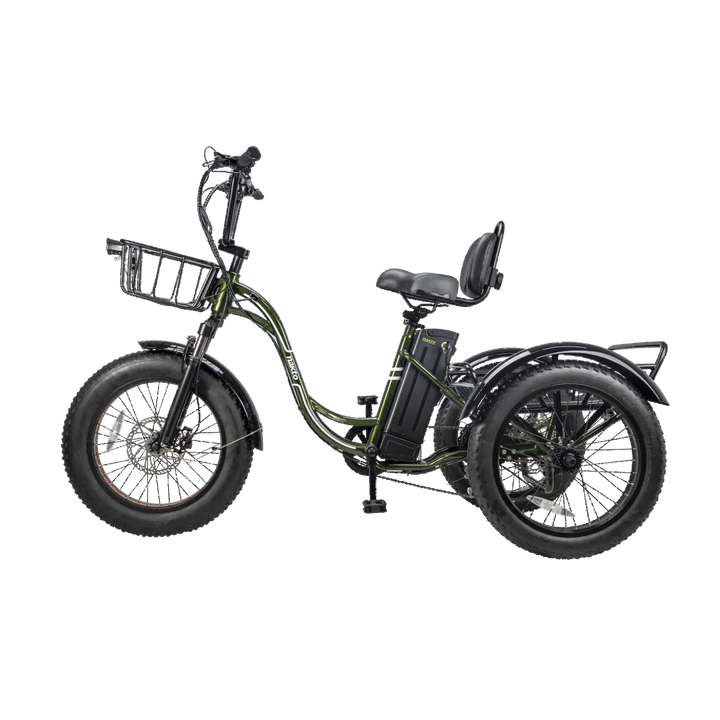 Nakto S03| 500W, 48V 16Ah, 60-Mile Range Electric Fat Tire Trike