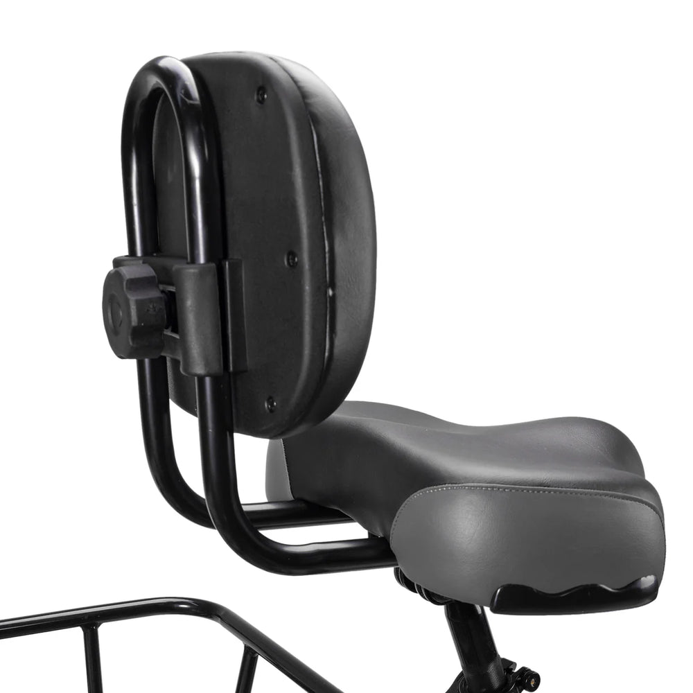 Nakto S02| 500W/750W Peak, 48V 16Ah, 60-Mile Range Electric Trike - EBike Haul