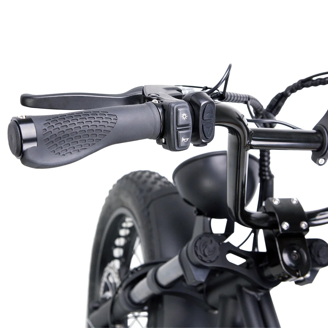 Nakto F2 500W/750W Peak, Dual Suspension, 20" Tires Fat Tire E-Bike
