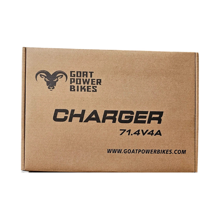 60V 17S Charger - DC Tip