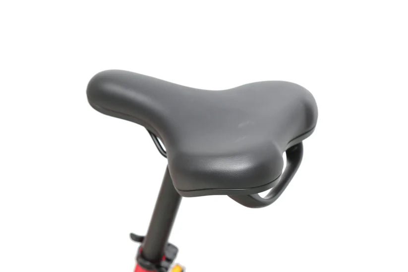 eJOE ACE ST Utility EBike