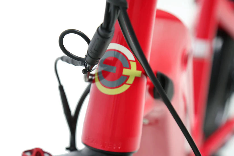 eJOE ACE ST Utility EBike