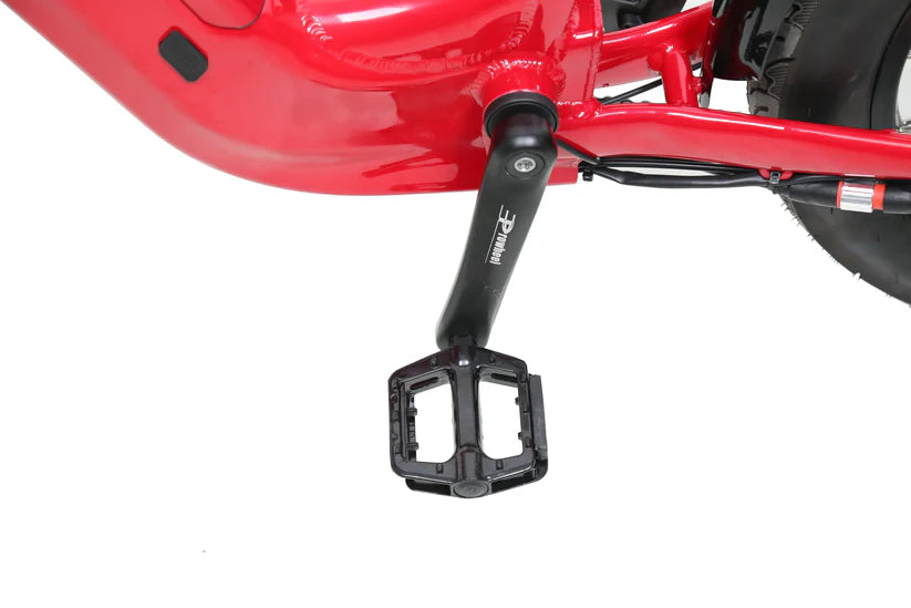 eJOE ACE ST Utility EBike