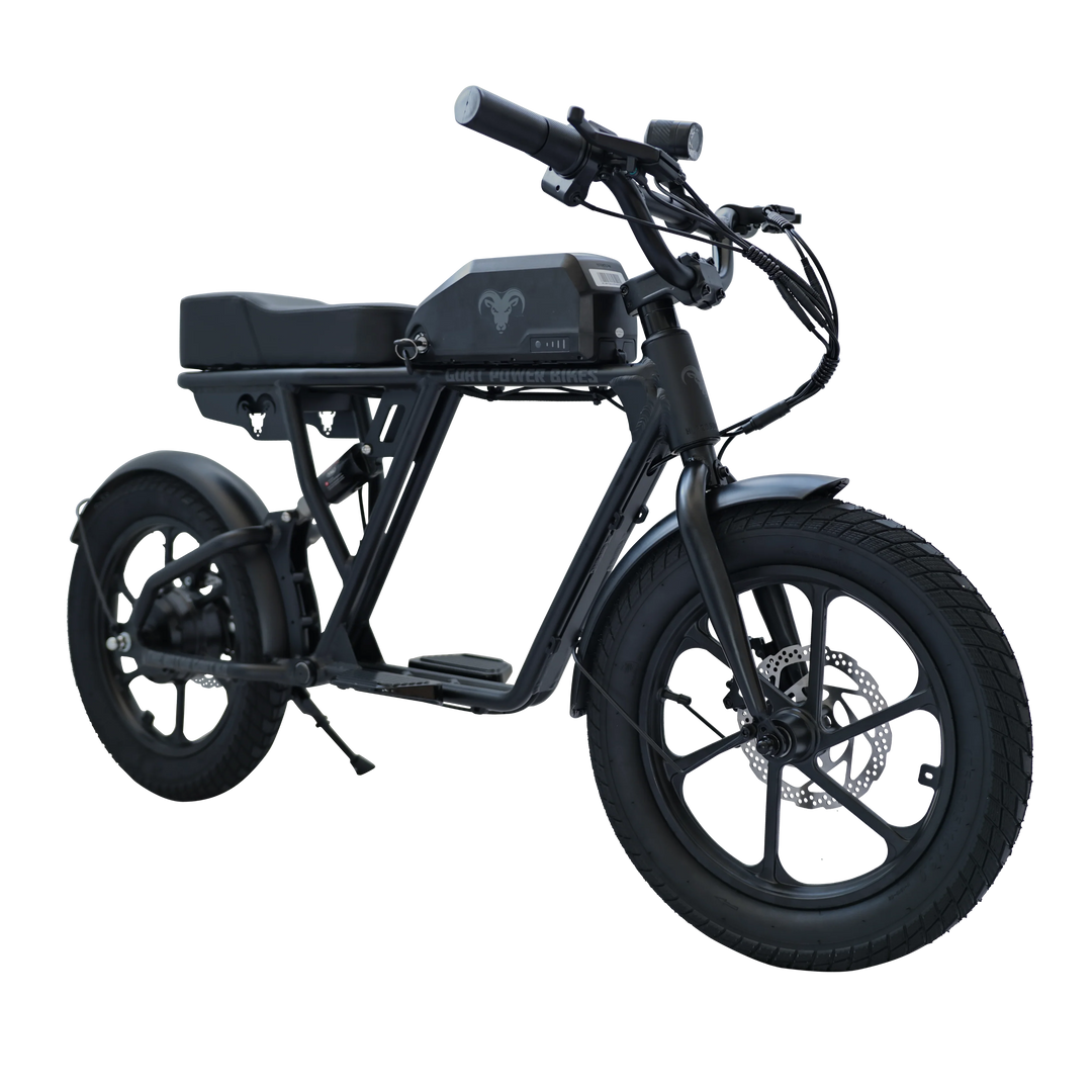 Motor Goat KD Kids Electric Bike