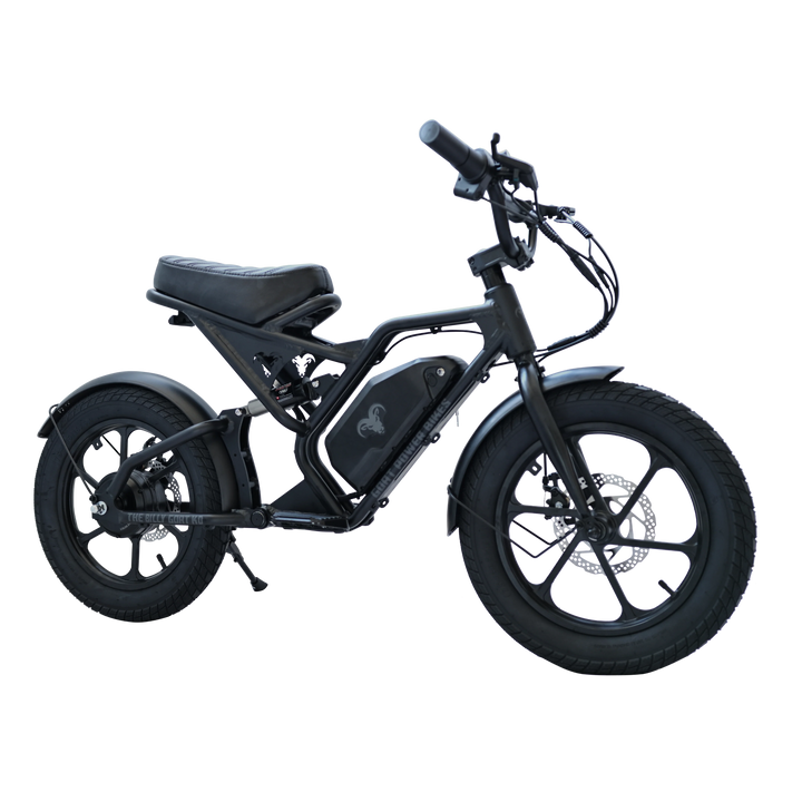 Billy Goat KD Kids Electric Bike
