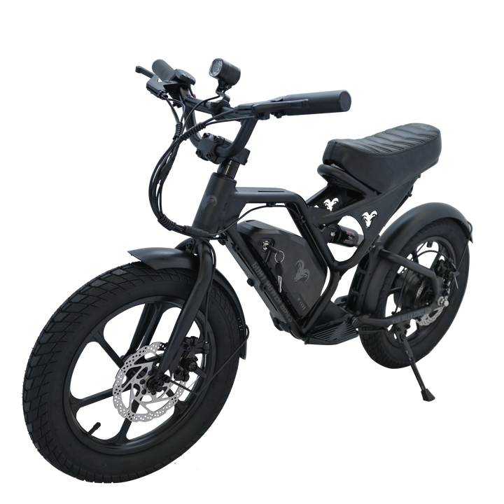 Billy Goat KD Kids Electric Bike