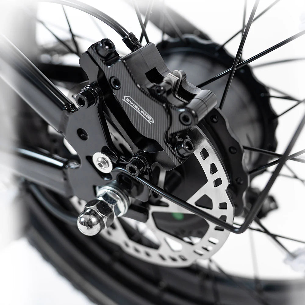 HappyRun G70 Full Suspension, Fat Tire,Two-Seater Fast E-Cargo Bike