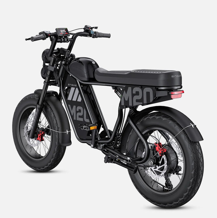 ENGWE M20 3.0|  3300W Moped-Style E-Bike
