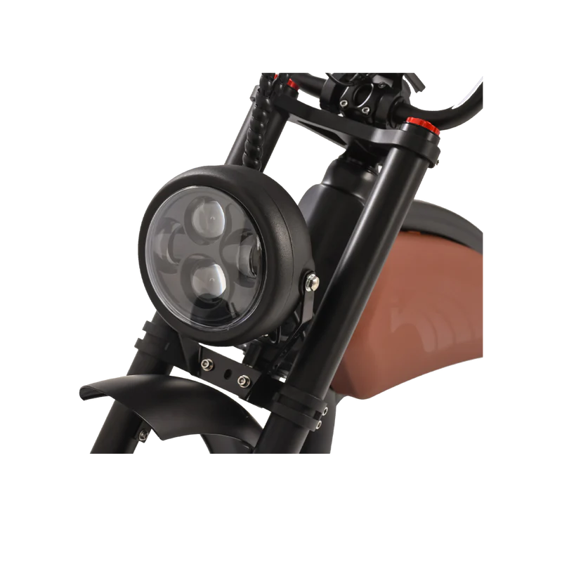 REVI BIKES Cheetah Prowler