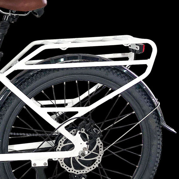 Fender + Rear Rack- Ride Clean, Carry More 