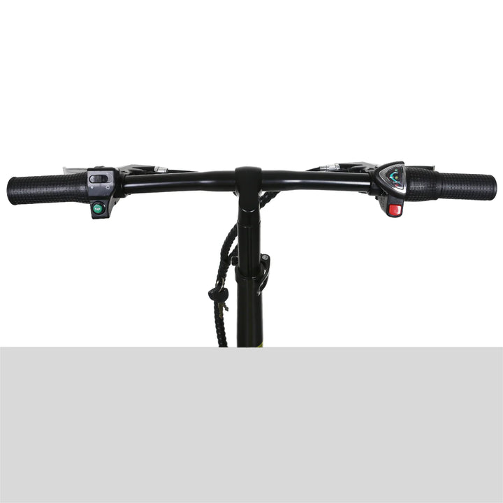 Nakto SKYLARK 2 Folding Fat Tire Electric Bike