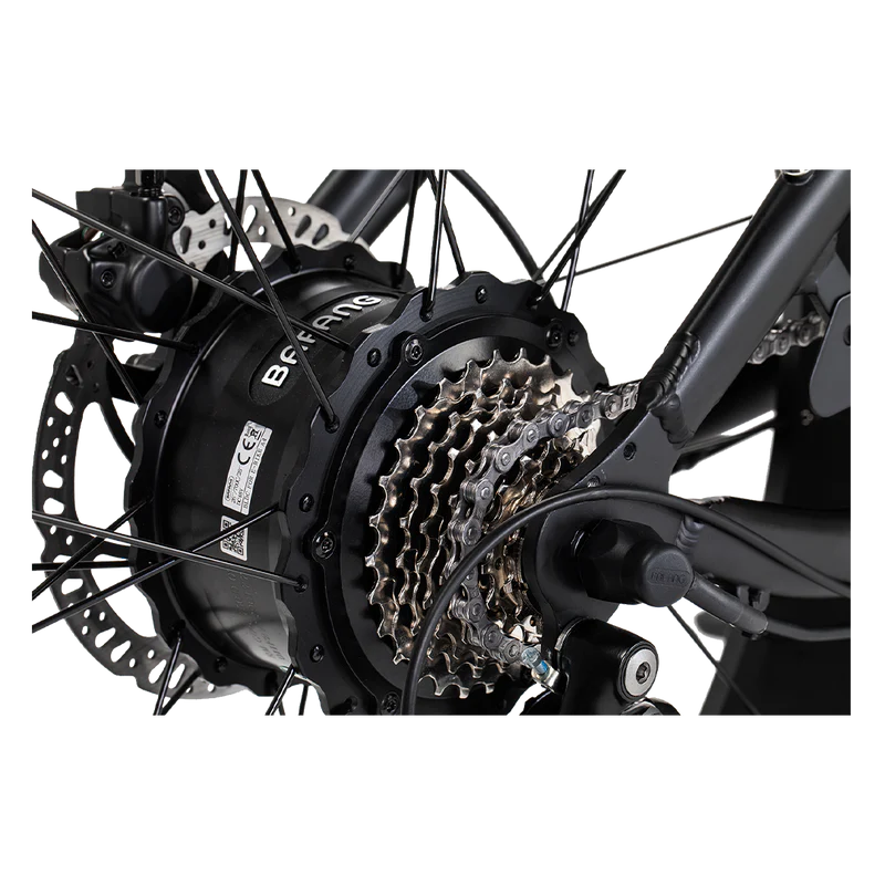 REVI BIKES Cheetah New