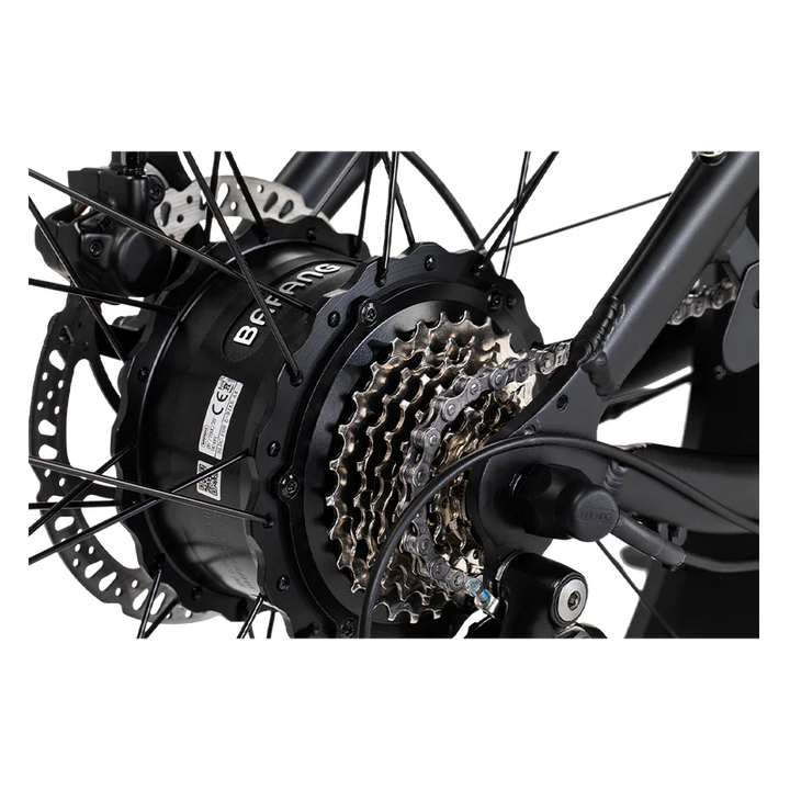 REVI BIKES Cheetah New