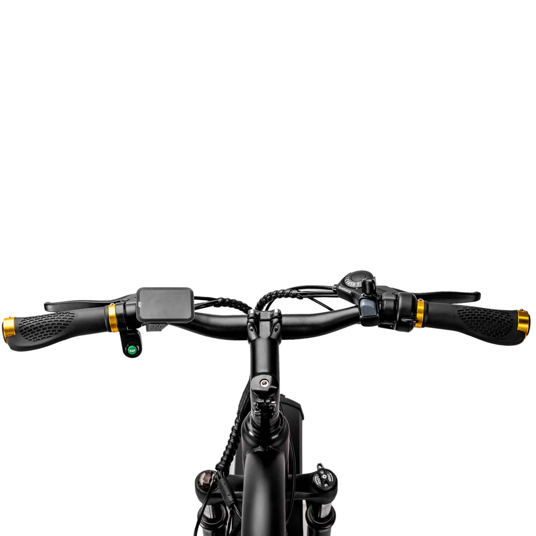 Nakto Cruiser 2| 750W Motor, 48V 12Ah Battery Electric Fat Tire Bike