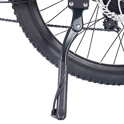 Kickstand