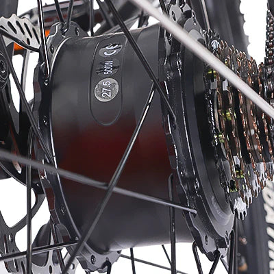 Rear Motor