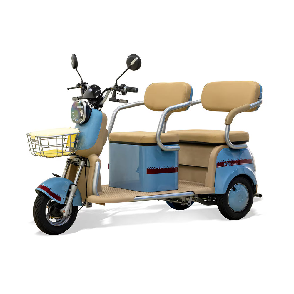 Massimo MGC E-Trike Mini 800W 30-Mile Range, Cargo  Electric Tricycle - EBike Haul