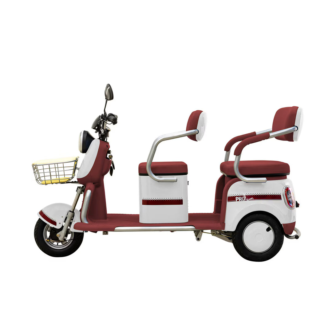 Massimo MGC E-Trike Mini 800W 30-Mile Range, Cargo  Electric Tricycle