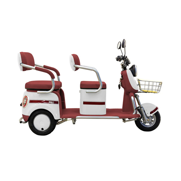 Massimo MGC E-Trike Mini 800W 30-Mile Range, Cargo  Electric Tricycle