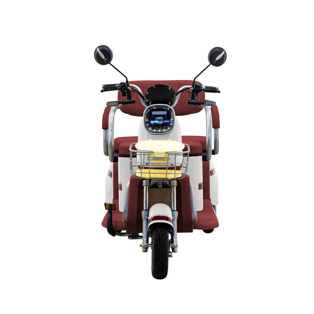 Massimo MGC E-Trike Mini 800W 30-Mile Range, Cargo  Electric Tricycle