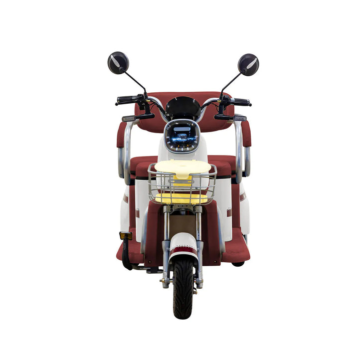 Massimo MGC E-Trike Mini 800W 30-Mile Range, Cargo  Electric Tricycle