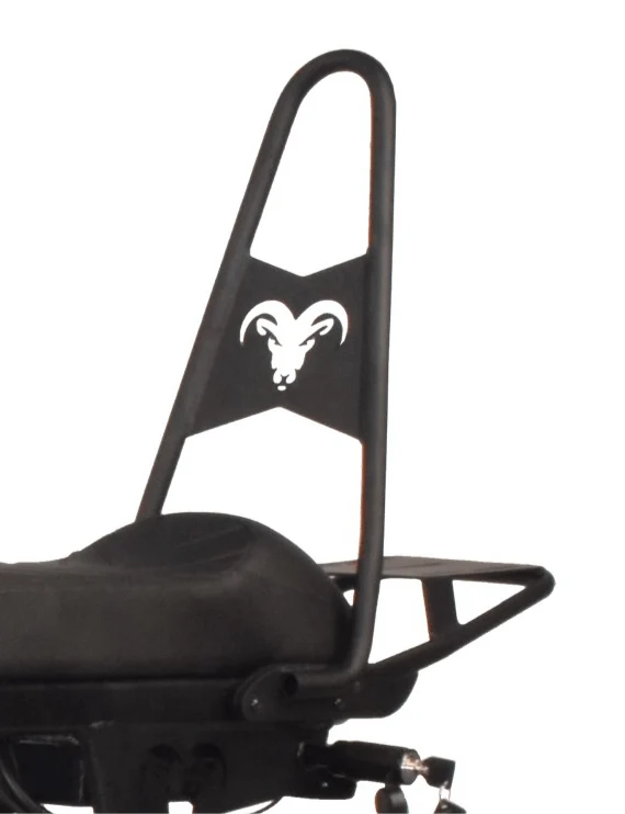 Backrest and Cargo Rack For Goat Power Bikes