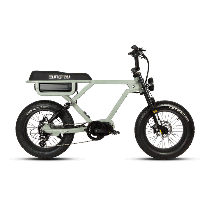 EUNORAU FLASH 2.0 Long Range City Commuter EBike