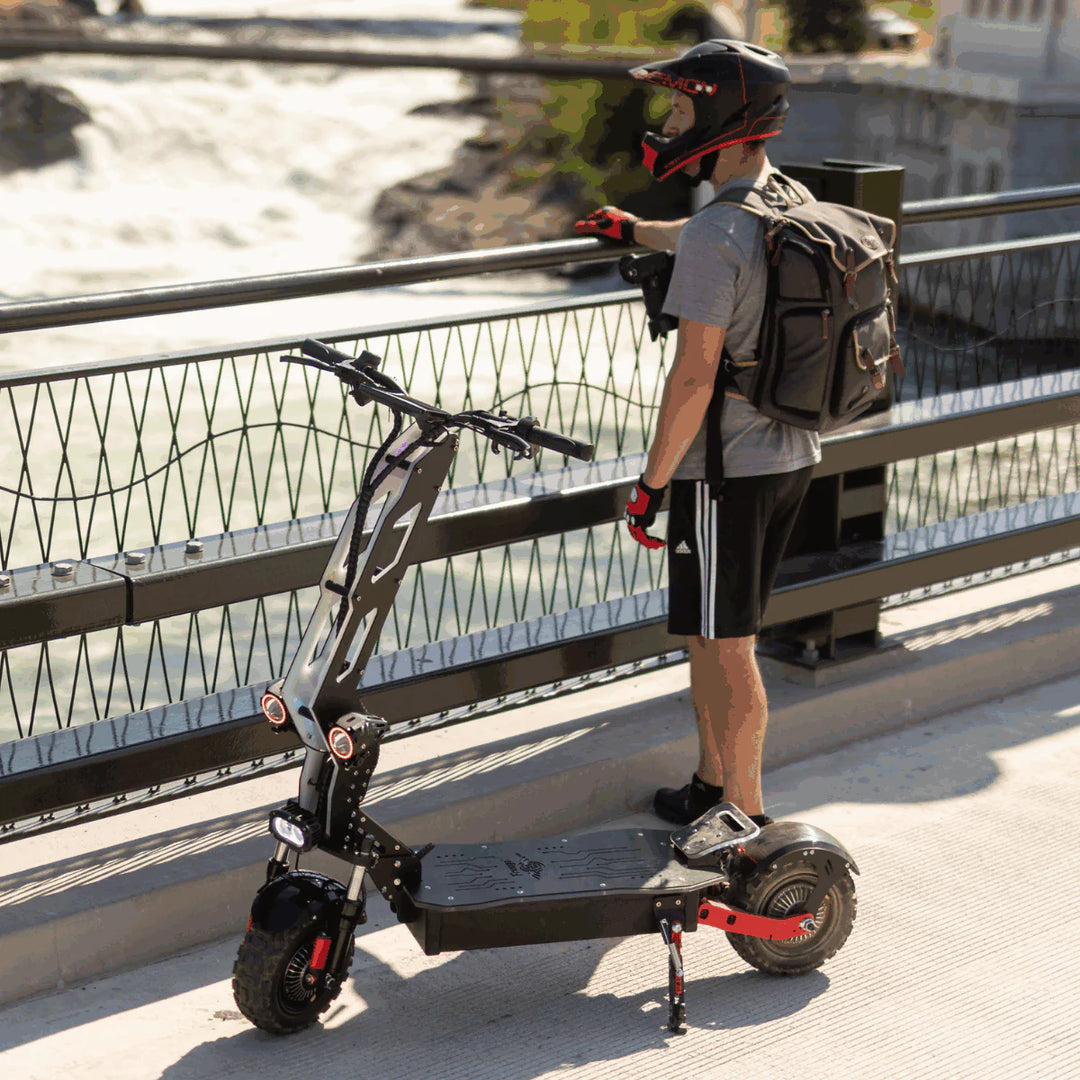 Freego D11 Landtiger Electric Scooter Foldable Dual Motor 4000W